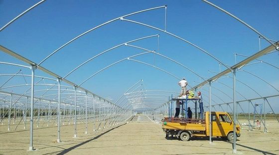 Große Sägezahn-Gewächshäuser Schimmer Tech Poly Tunnel Tropische Gewächshäuser mit Lüftung