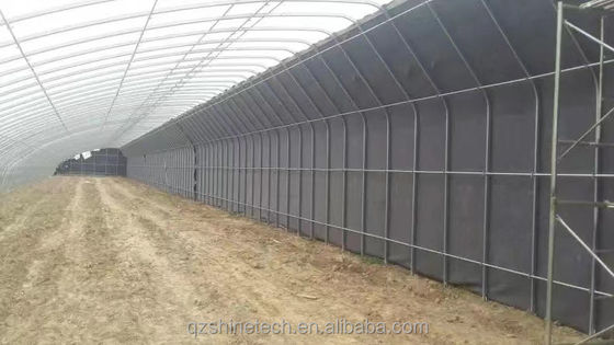 Filmbedecktes Solargewächshaus für den nachhaltigen Wintergurkbau