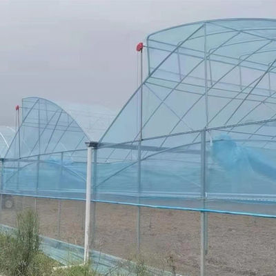 Große Sägezahn-Gewächshäuser Schimmer Tech Poly Tunnel Tropische Gewächshäuser mit Lüftung