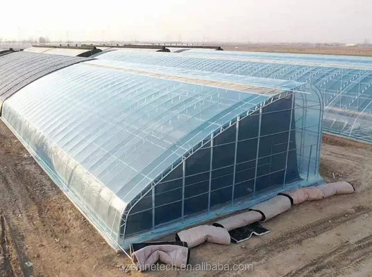 Filmbedecktes Solargewächshaus für den nachhaltigen Wintergurkbau