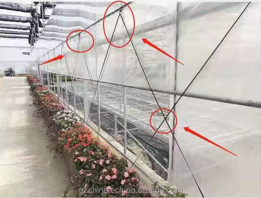 Gewächshausfilmband 200m 250m 300m Länge für Landwirtschaft Gewächshaus