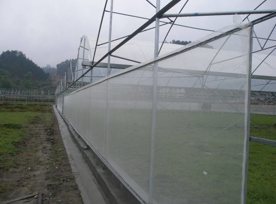 30-150G Treibhausschattennetz HDPE UV-Schutz und Insektenschutznetz zur Schädlingsbekämpfung