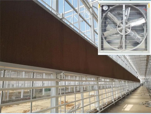 Großer Luftstrom-Auspuffventilator für Gewächshaus-Ventilationssystem für Geflügelhäuser 60 kg