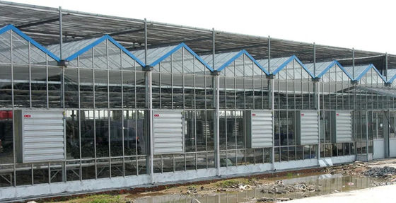 380/220V Geflügelindustrie Gewächshaus Lüftung Auspuffventilator und Kühlpad