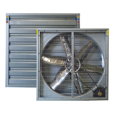 Wandmontierte schwere Auspuffventilator für Geflügelfarmen